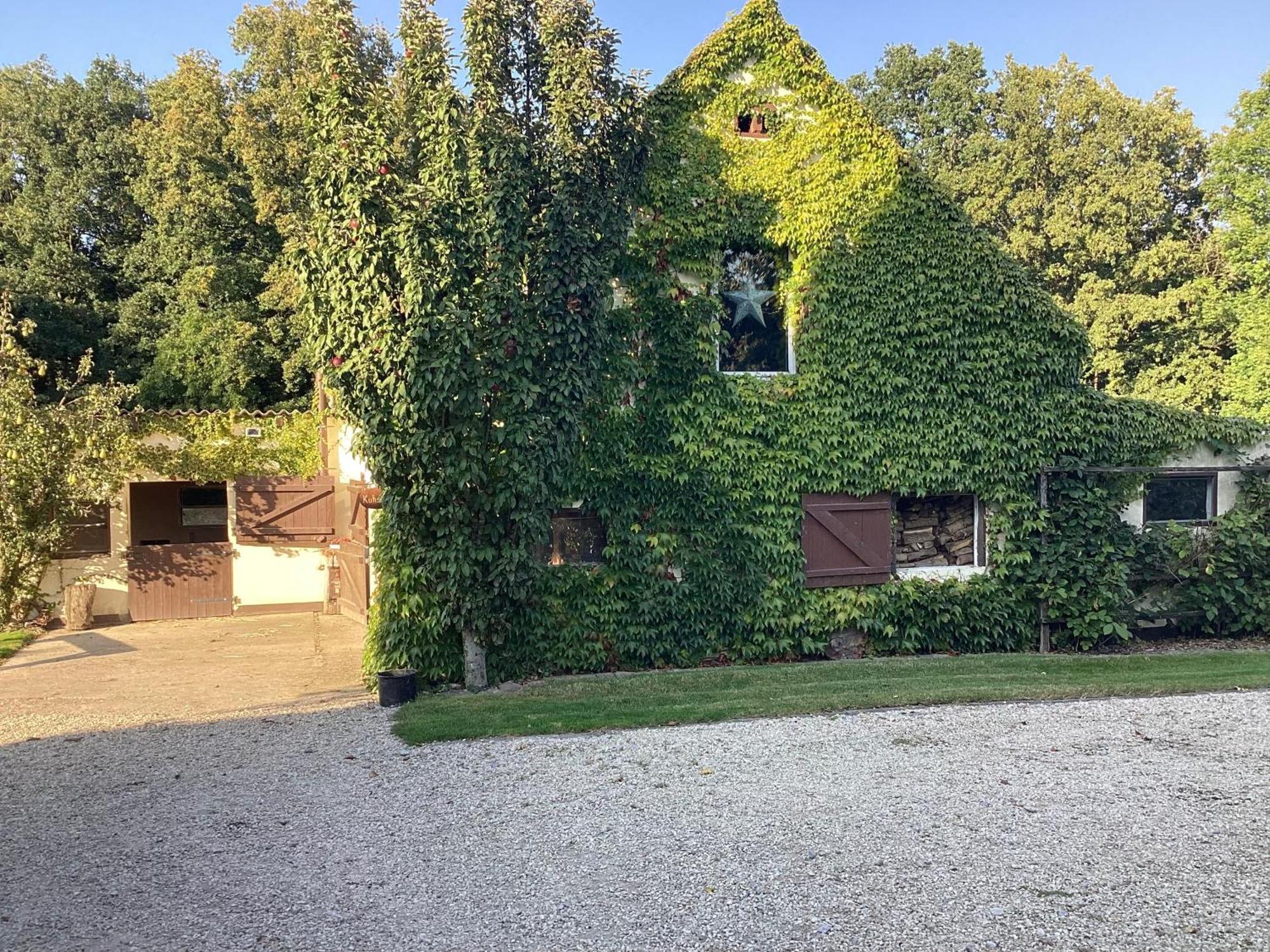 Kuhlmanns Hof Lägenhet Vlotho Exteriör bild